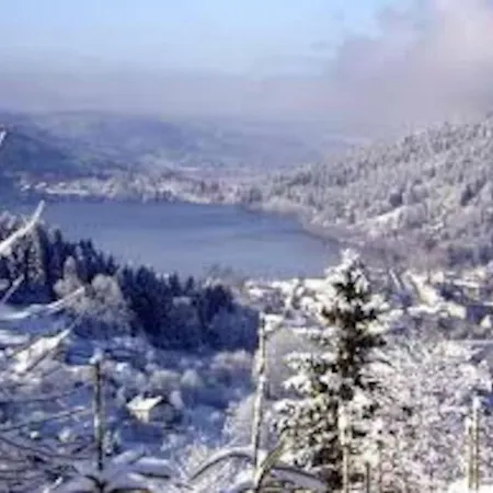23 Rue De La Republique * Gerardmer