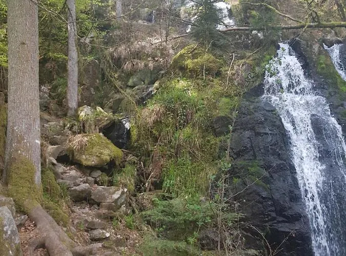 23 Rue De La Republique アパート ジェラールメ