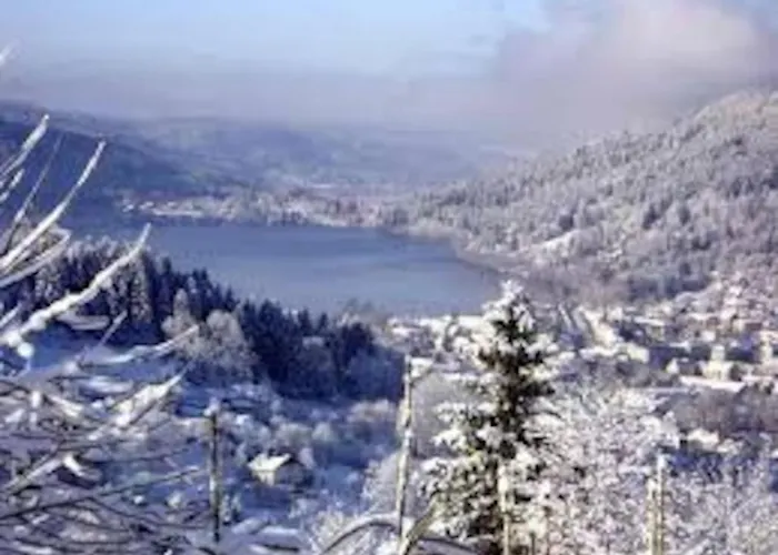 23 Rue De La Republique * ジェラールメ