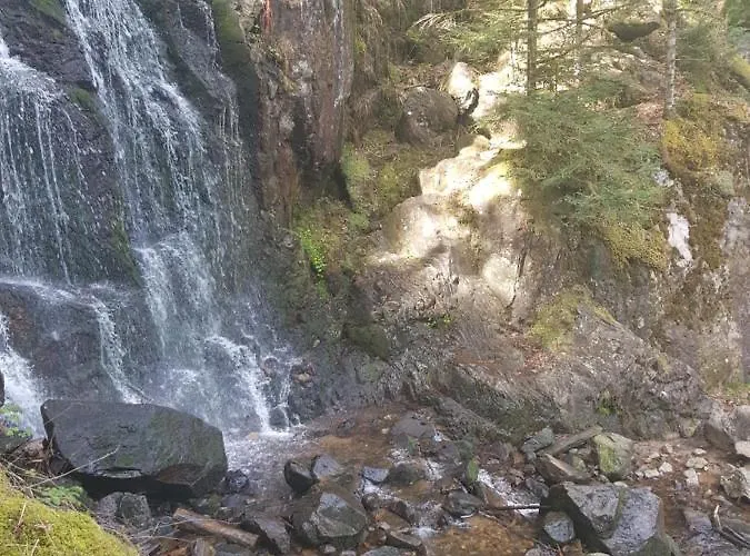 23 Rue De La Republique アパート ジェラールメ